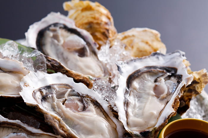Uramura oysters
