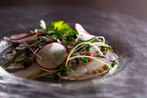 Abalone salad